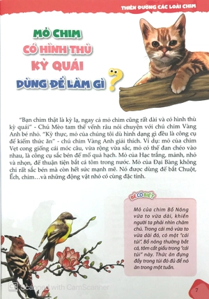 10 vạn câu hỏi vì sao - chim và động vật biển (tái bản) - Ảnh 7