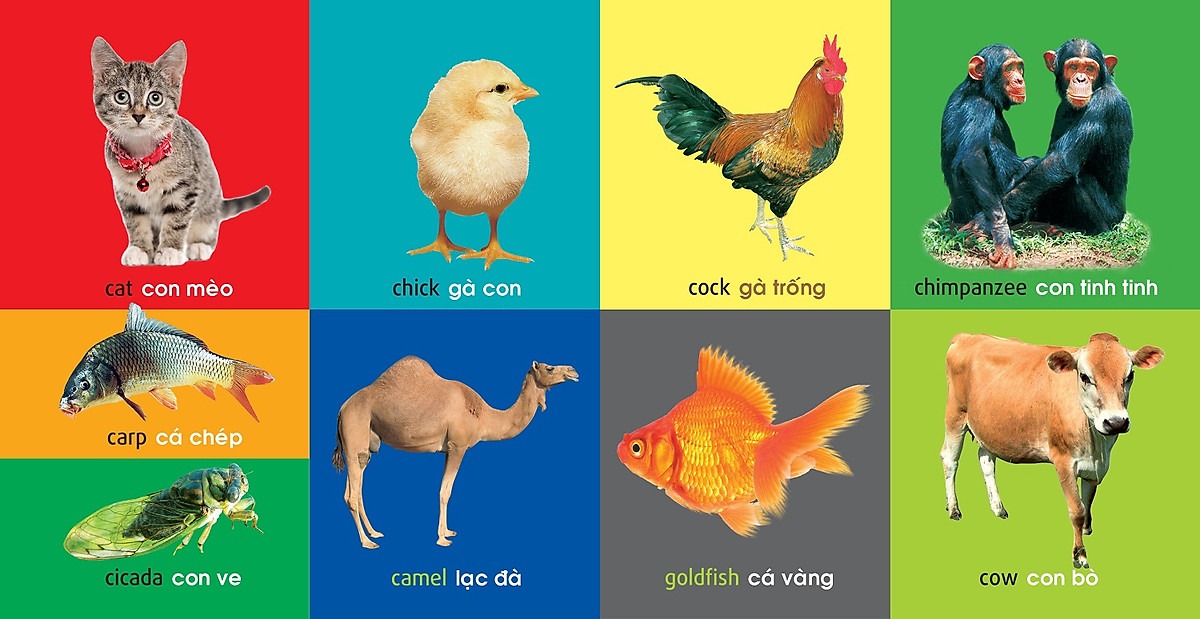 101 First Words - Animals - 101 Từ Đầu Tiên - Động Vật - Bìa Cứng (Tái Bản 2025) - Ảnh 7