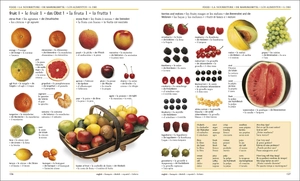 5 language visual dictionary: over 6,500 illustrated terms, labelled in english, french, german, spanish and italian - Ảnh 10