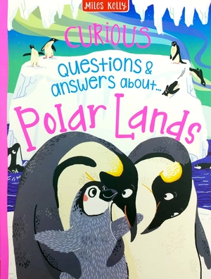 a curious library of questions and answers - Ảnh 6