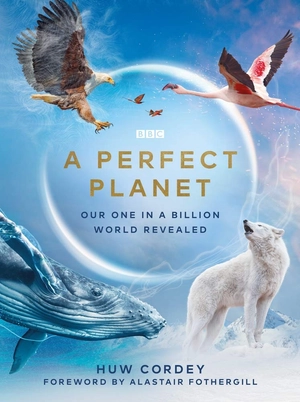 a perfect planet - Ảnh 2
