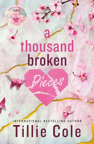 a thousand broken pieces - Ảnh 2