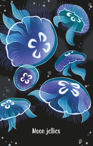 aquarium snap - Ảnh 3