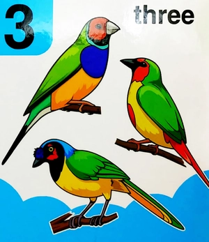 babyℹs mini books: 123 - Ảnh 9