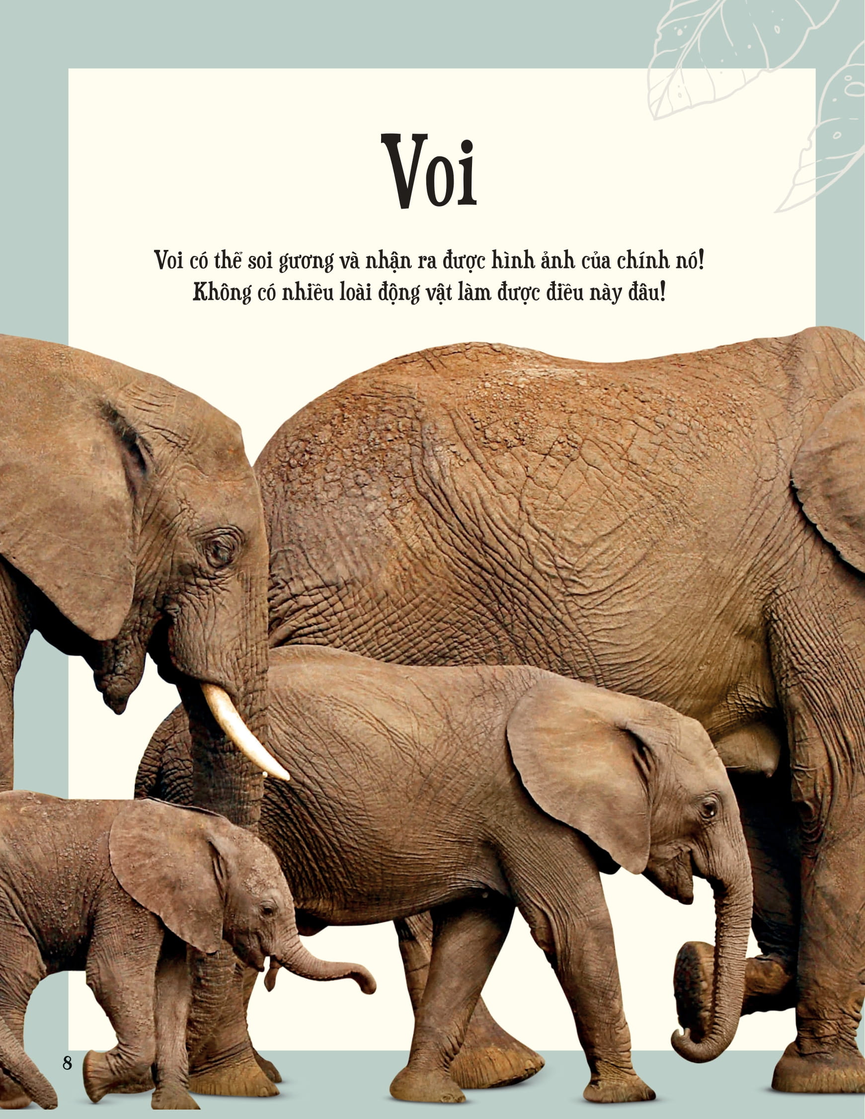 bách khoa thư kỳ thú về động vật - bìa cứng - Ảnh 9