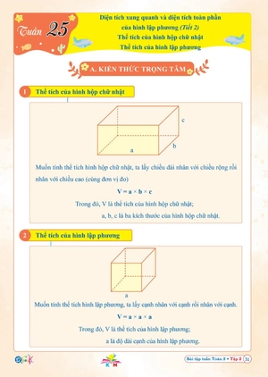 bài tập tuần toán 5 - tập 2 (kết nối) - Ảnh 6