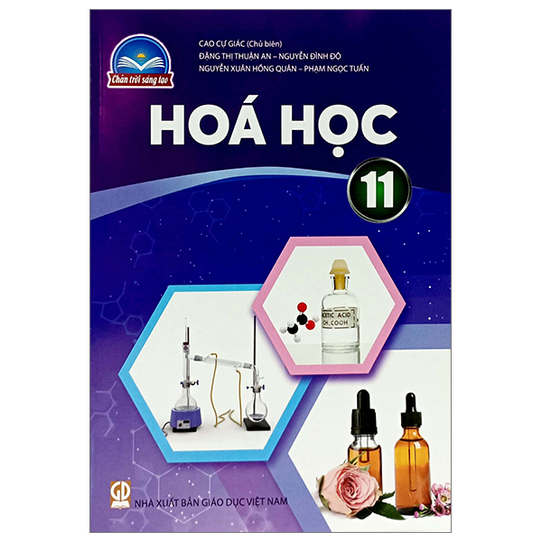 Bai Tap Vat Li 11 (Chan Troi) (Chuan) - Ảnh 19