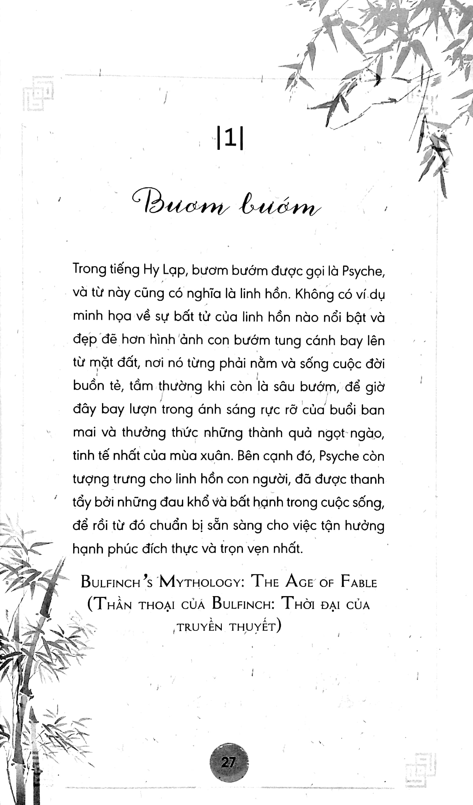 bạn sinh ra không phải để chịu khổ - Ảnh 5