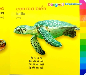 bé khám phá môi trường xung quanh - động vật sống dưới nước (2022) - Ảnh 4