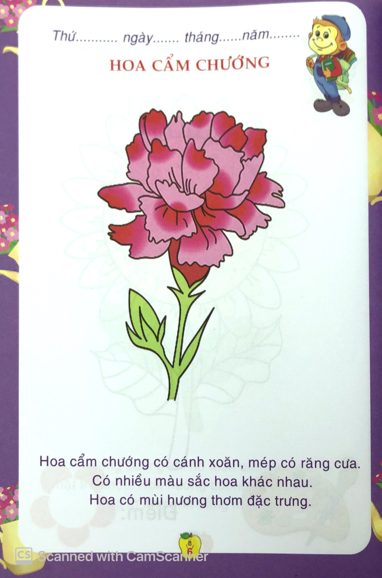 bé tô màu & làm quen với môi trường - các loài hoa - Ảnh 7