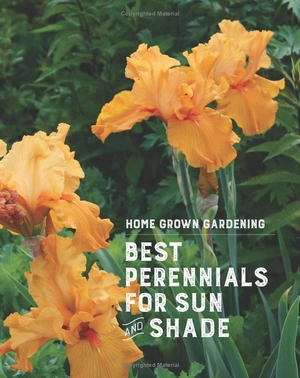 best perennials for sun and shade (home grown gardening) - Ảnh 3