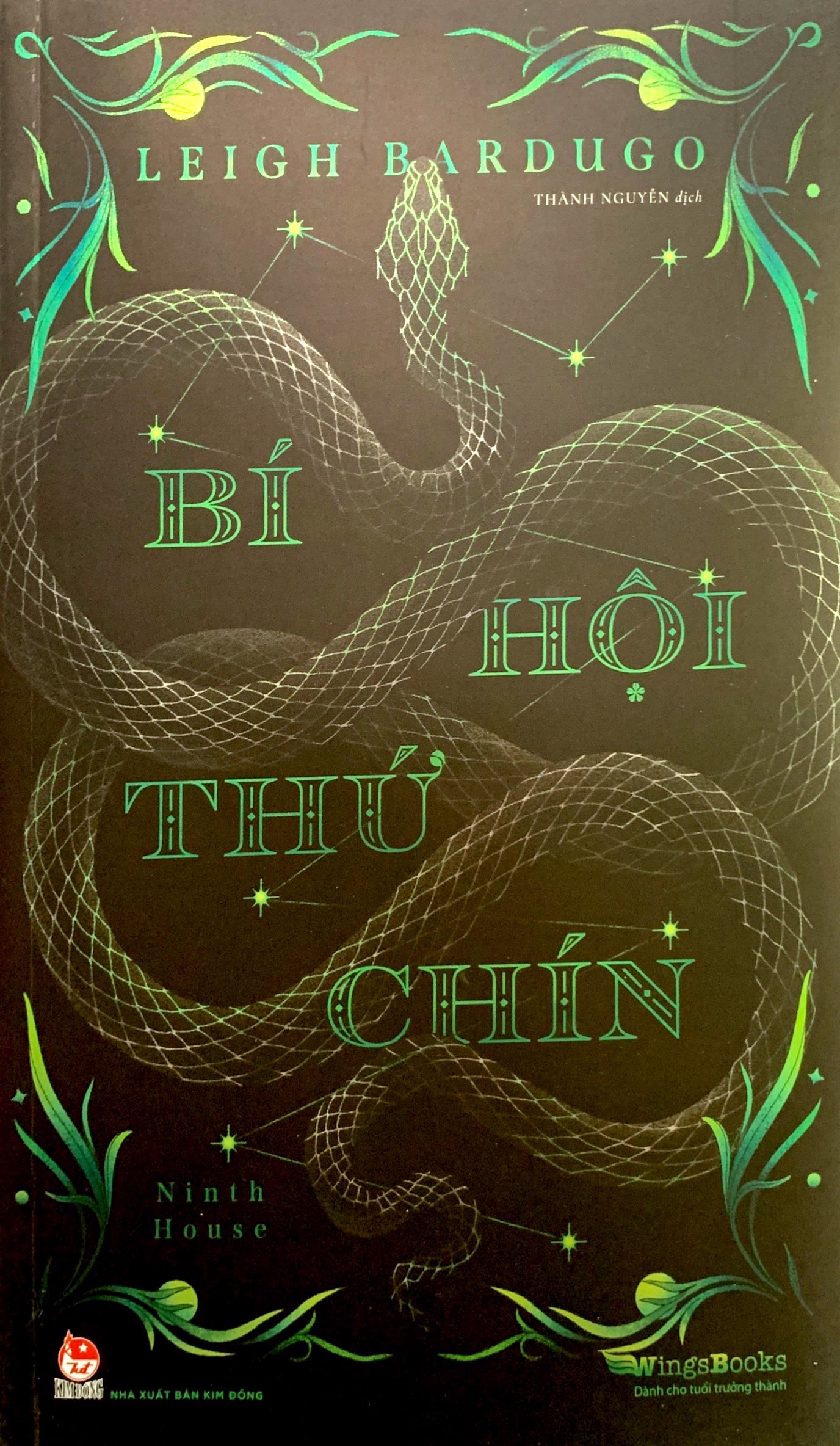 bí hội thứ chín - ninth house - Ảnh 3