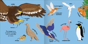 big words for little experts - animals - Ảnh 5