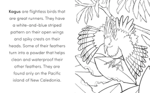 bird book for kids - Ảnh 7