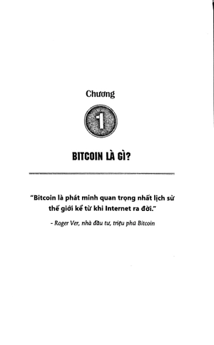 bitcoin – bong bóng tài chính hay tương lai của tiền tệ - Ảnh 8