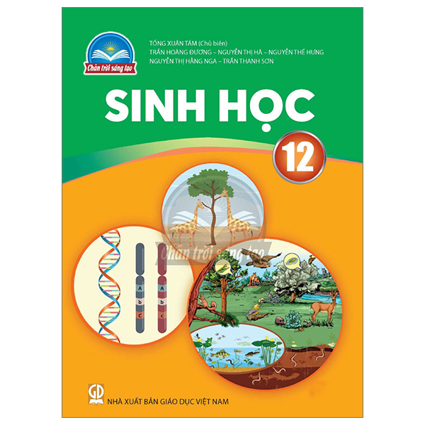 Bộ Bài Tập Ngữ Văn 12 - Tập 2 (Chân Trời) (Chuẩn) - Ảnh 22