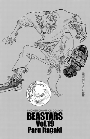 bộ beastars 19 - Ảnh 5