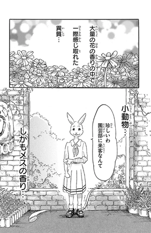 bộ beastars 2 - Ảnh 8