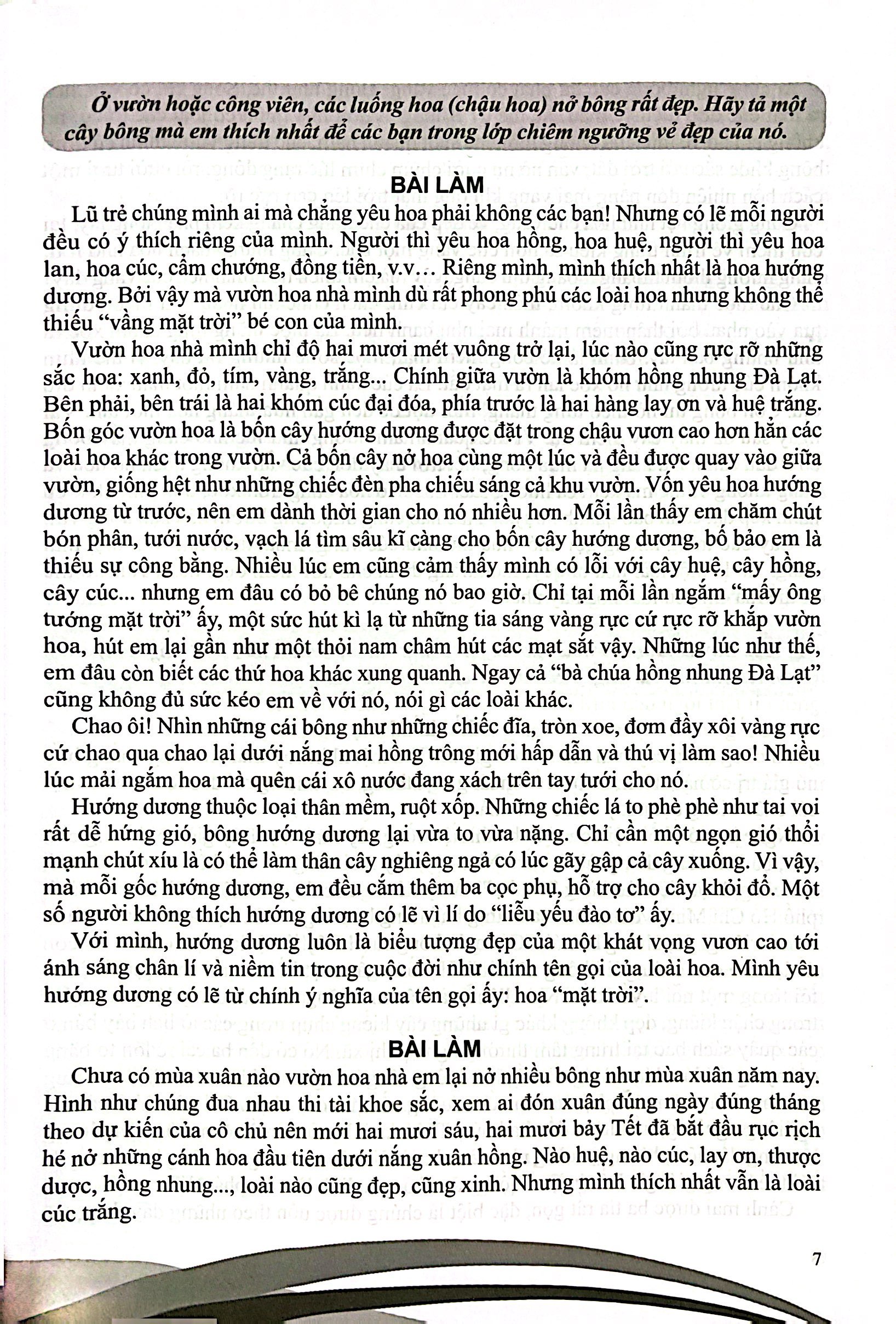 Bo
Boi Duong Nang Khieu Van 5 - Ảnh 4
