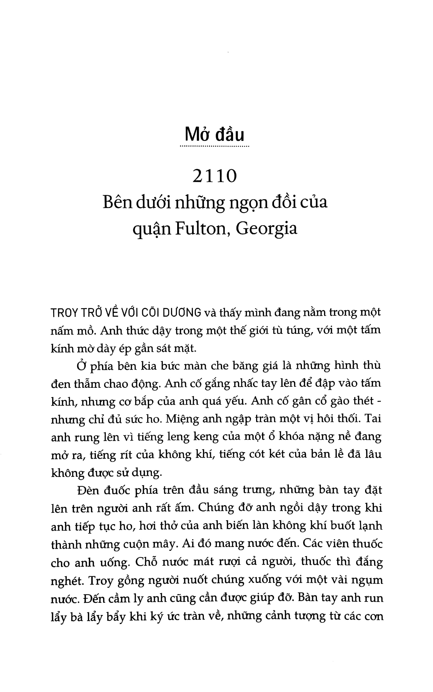 bộ ca trực - silo tháp giống #2 - Ảnh 4