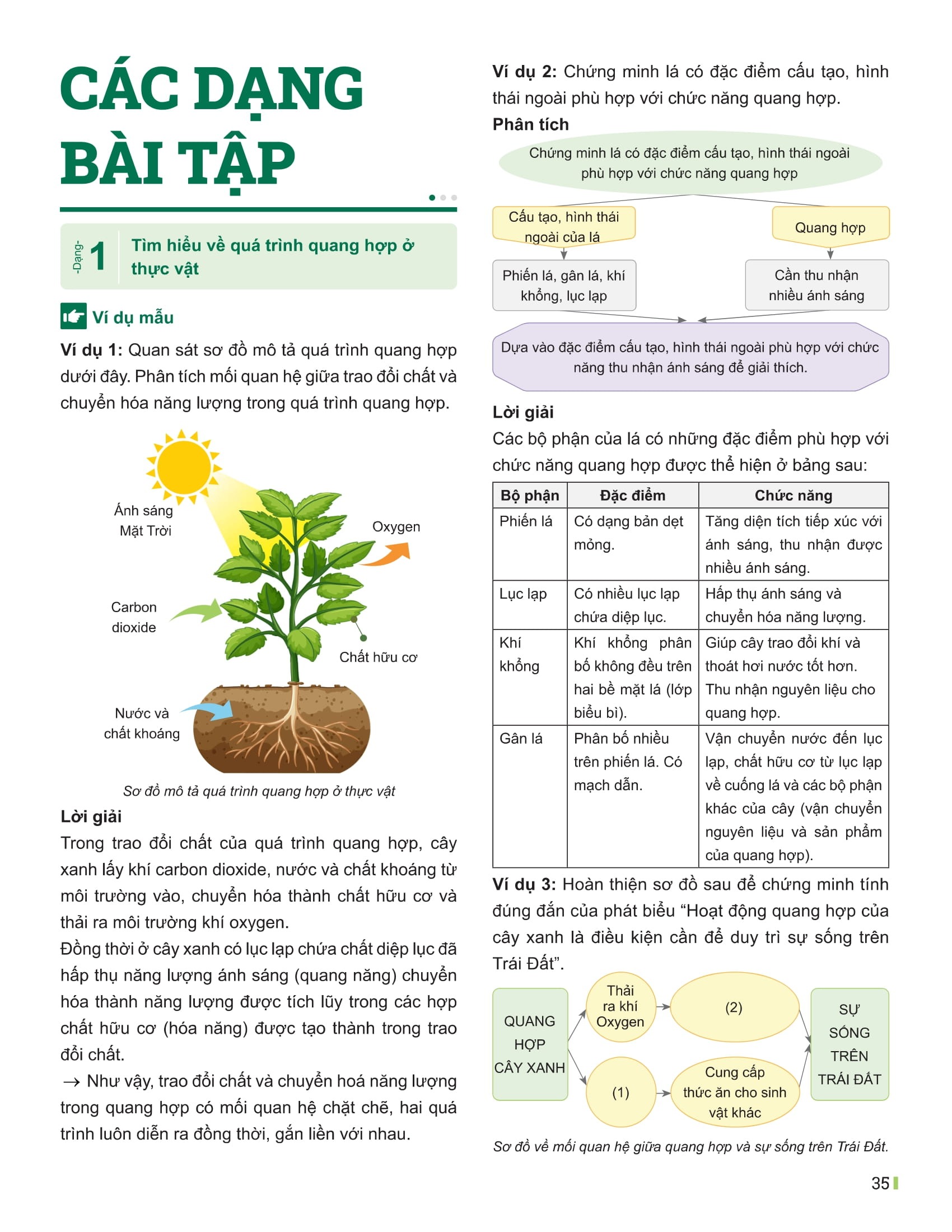 Bo
						
										
										Dot Pha Tu Duy Khoa Hoc Tu Nhien 7 - Tap 1 (Tai Ban 2025) - Ảnh 13