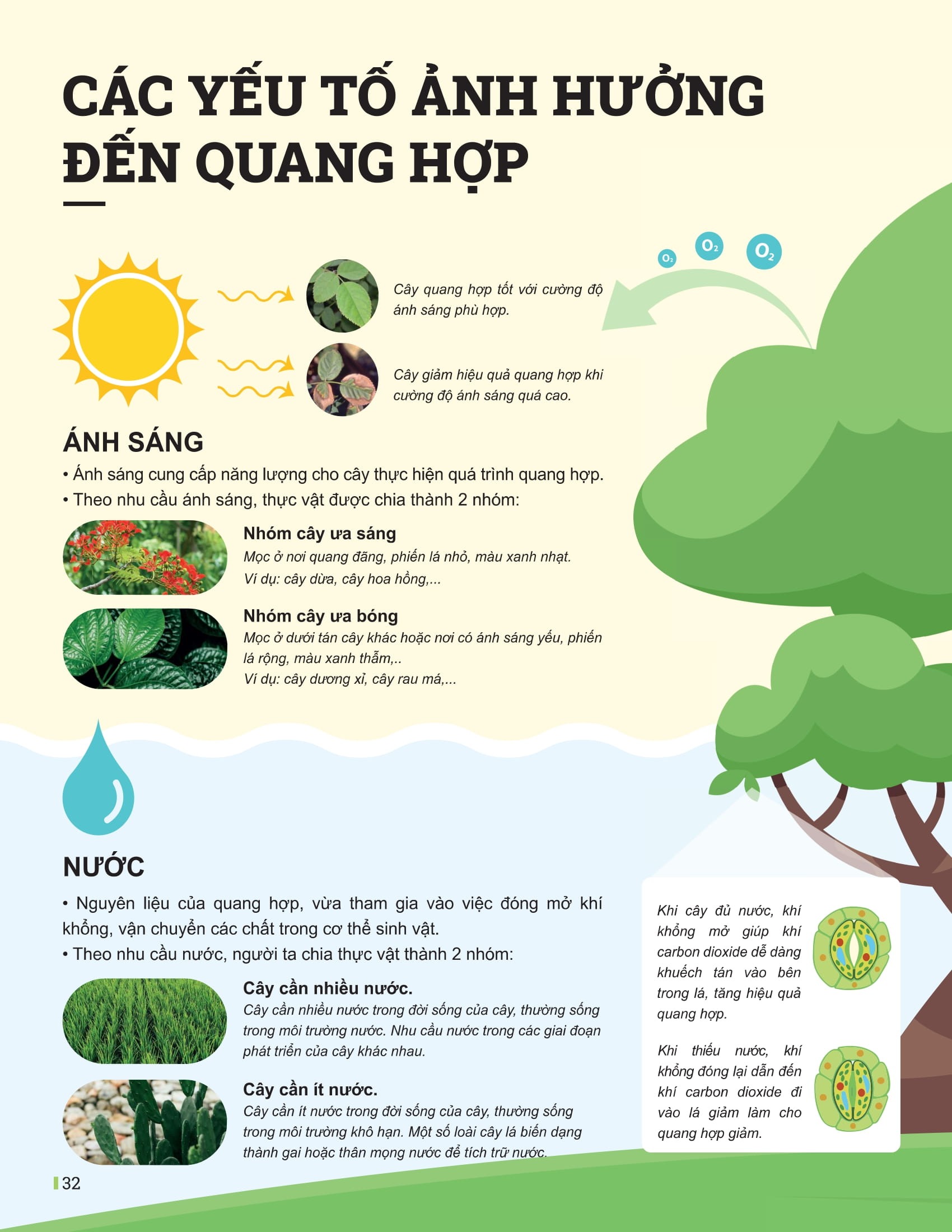 Bộ Đột Phá Tư Duy Khoa Học Tự Nhiên 7 - Tập 2 (Tái Bản 2025) - Ảnh 10