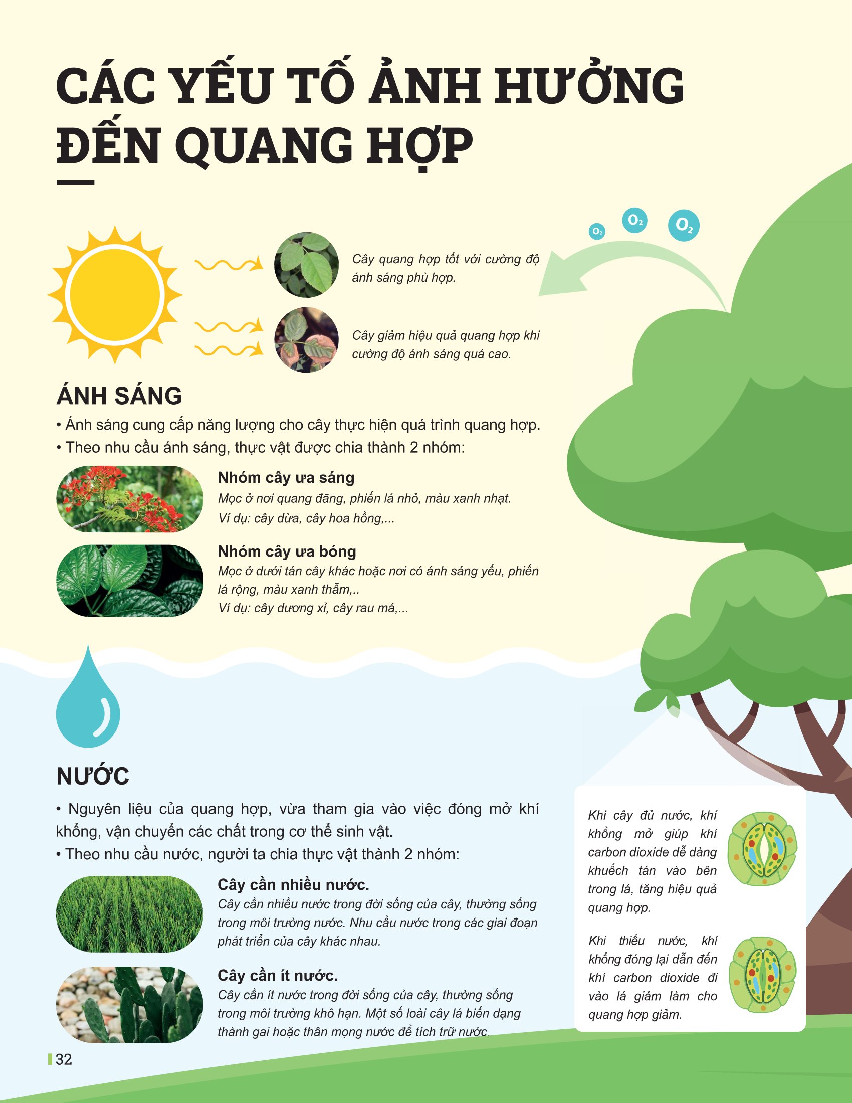 Bộ
Đột Phá Tư Duy Khoa Học Tự Nhiên 7 - Tập 2 (Tái Bản 2026) - Ảnh 10