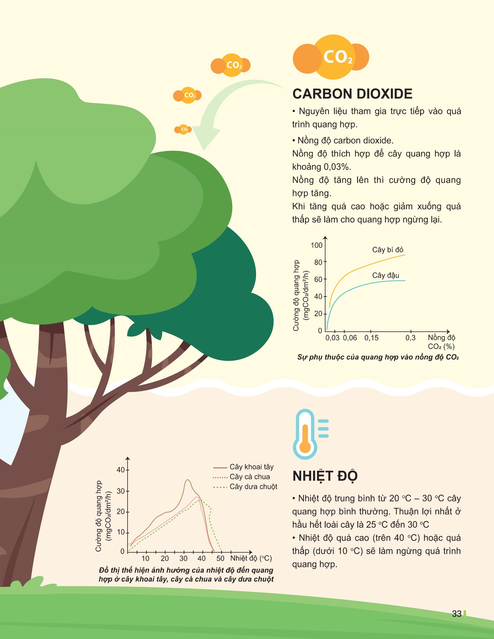 Bộ
Đột Phá Tư Duy Khoa Học Tự Nhiên 7 - Tập 2 (Tái Bản 2026) - Ảnh 11