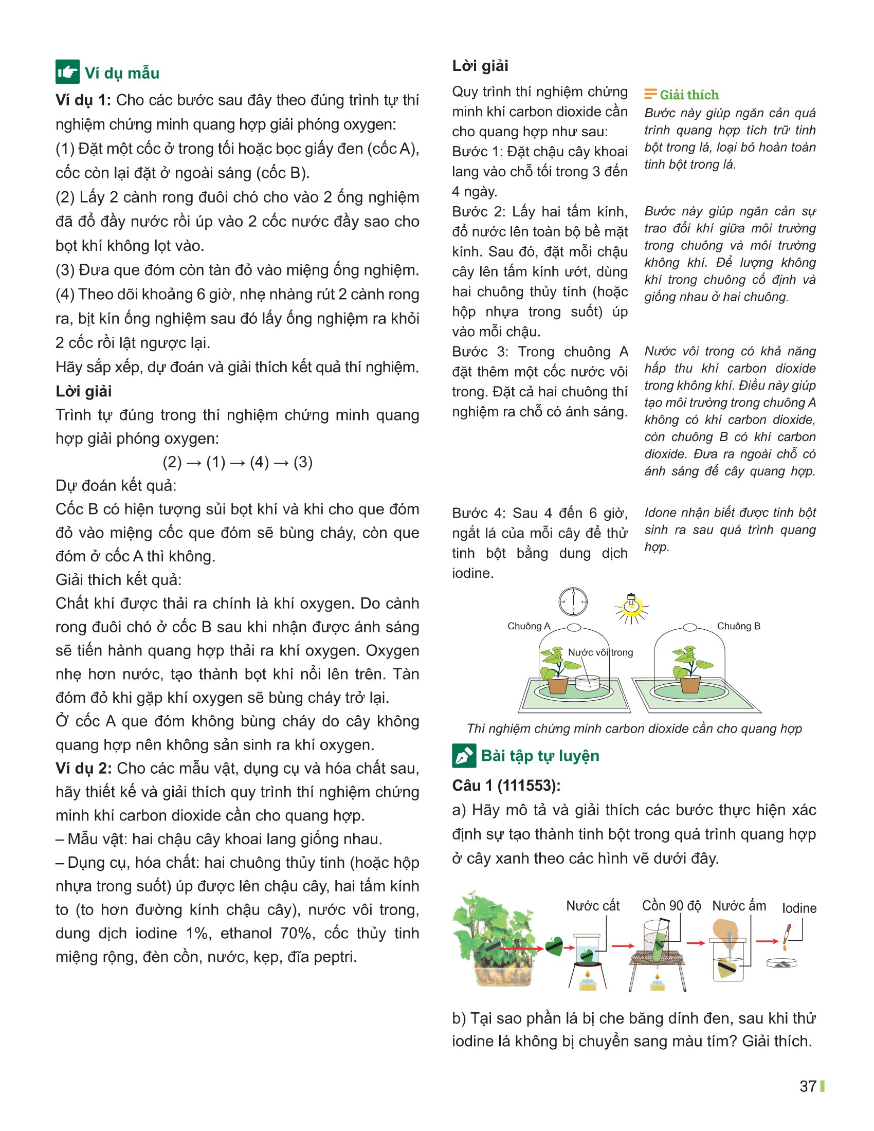 Bộ
Đột Phá Tư Duy Khoa Học Tự Nhiên 7 - Tập 2 (Tái Bản 2026) - Ảnh 14