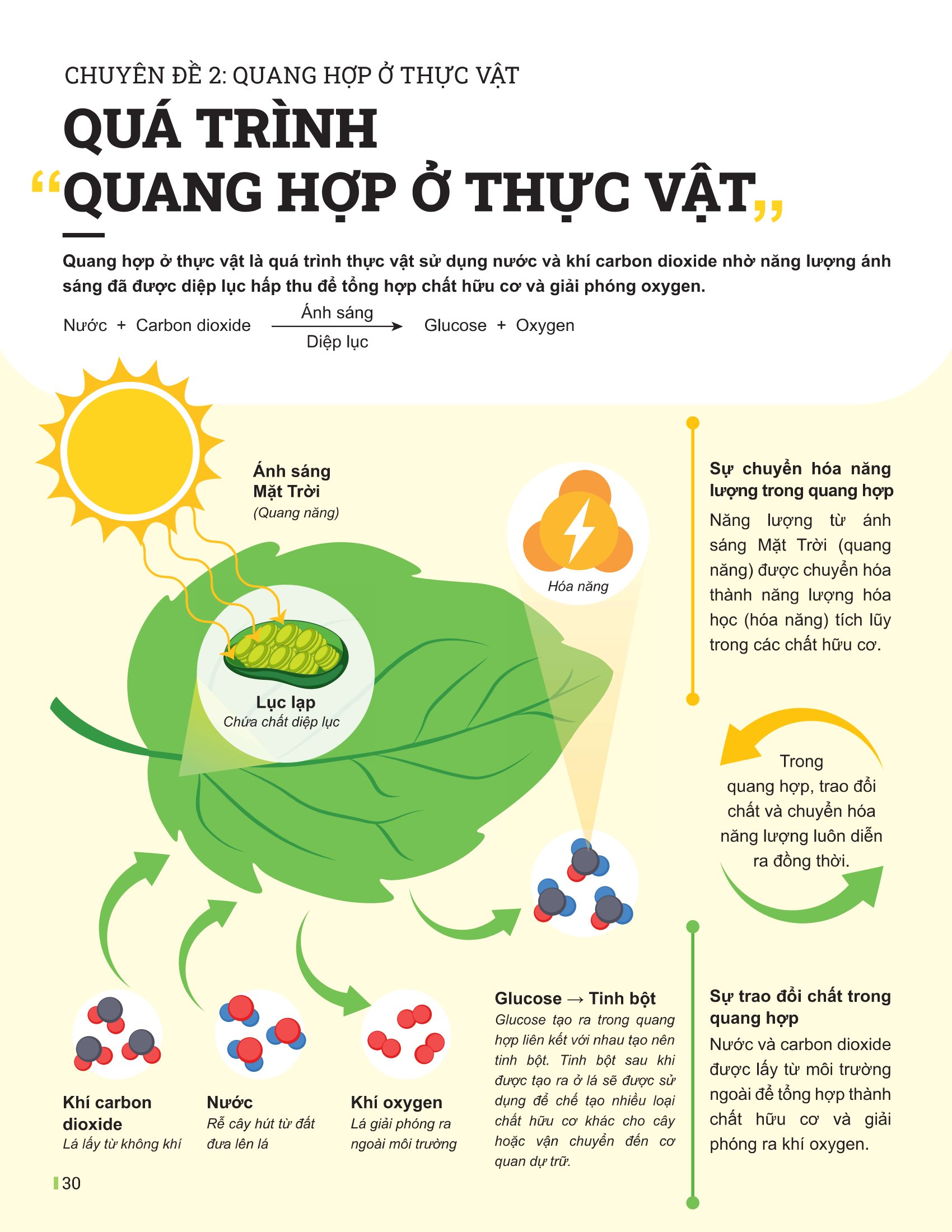 Bộ
Đột Phá Tư Duy Khoa Học Tự Nhiên 7 - Tập 2 (Tái Bản 2026) - Ảnh 8