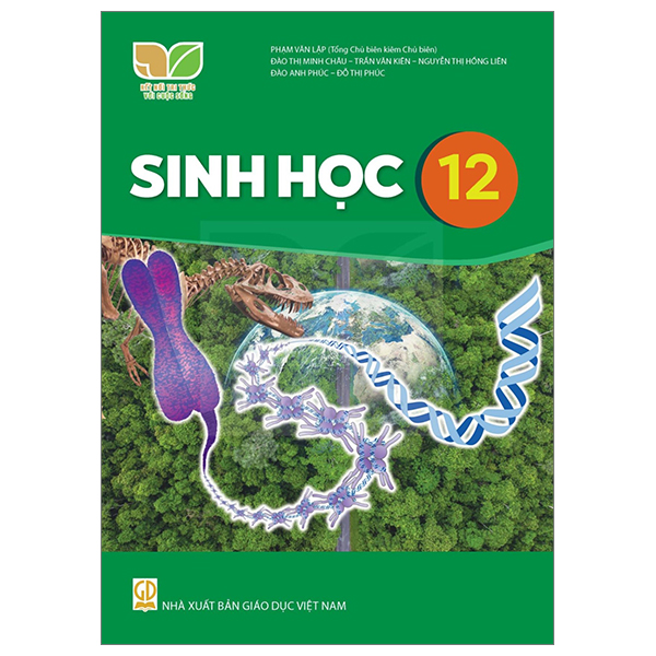 Bộ Giáo Dục Kinh Tế Và Pháp Luật 12 (Kết Nối) (Chuẩn) - Ảnh 30