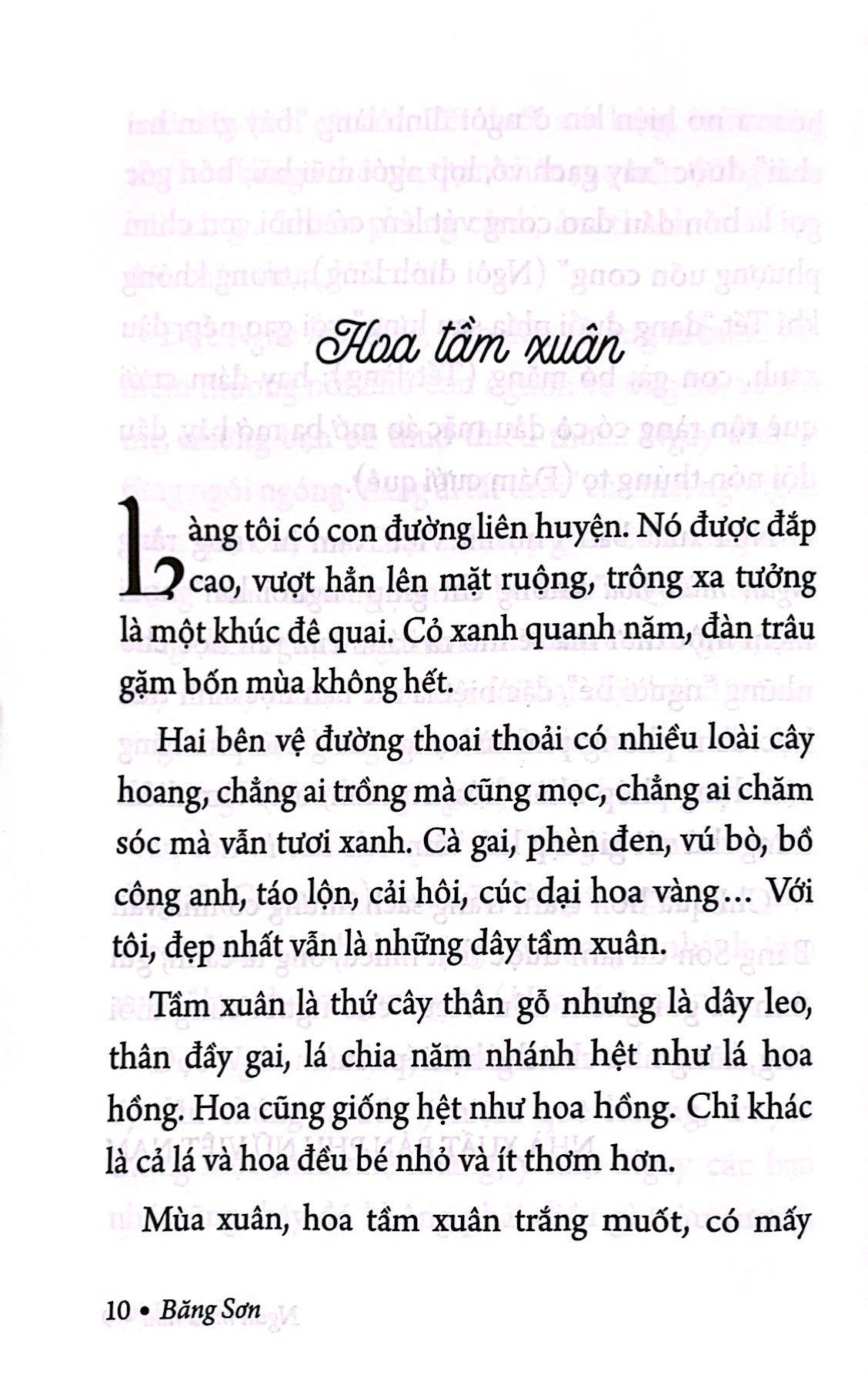 Bộ Ngàn Mùa Hoa - Nét Đẹp Thiên Nhiên - Ảnh 4