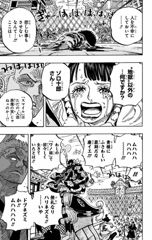 bộ one piece 94 - Ảnh 12
