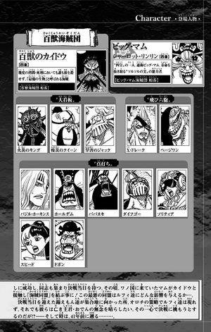 bộ one piece 96 - Ảnh 11