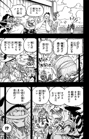 bộ one piece 96 - Ảnh 21