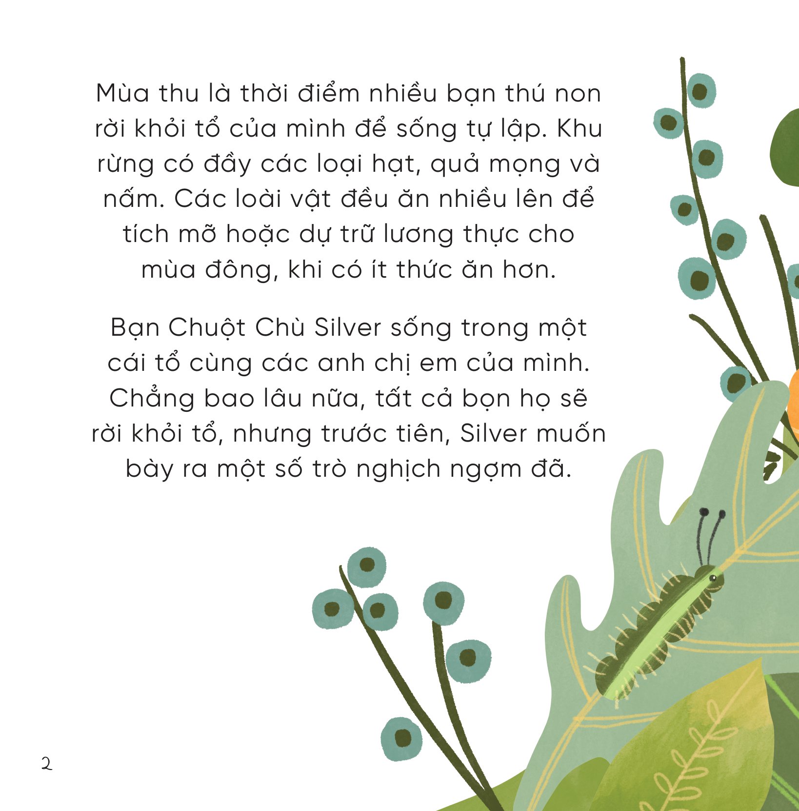 bộ sách những bài học nhỏ từ rừng xanh (bộ 4 cuốn) - Ảnh 16