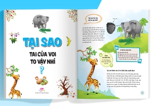 bộ sách what why when how? - 10 vạn câu hỏi cho siêu nhí (bộ 4 cuốn) - Ảnh 20