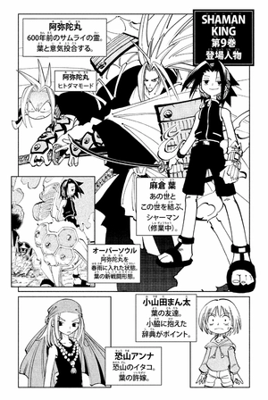 bộ shaman king 9 - Ảnh 5