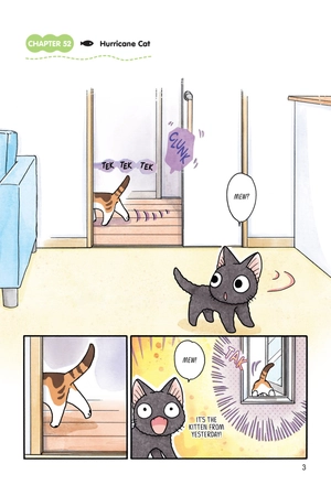 bộ sue & tai-chan 4 - Ảnh 5