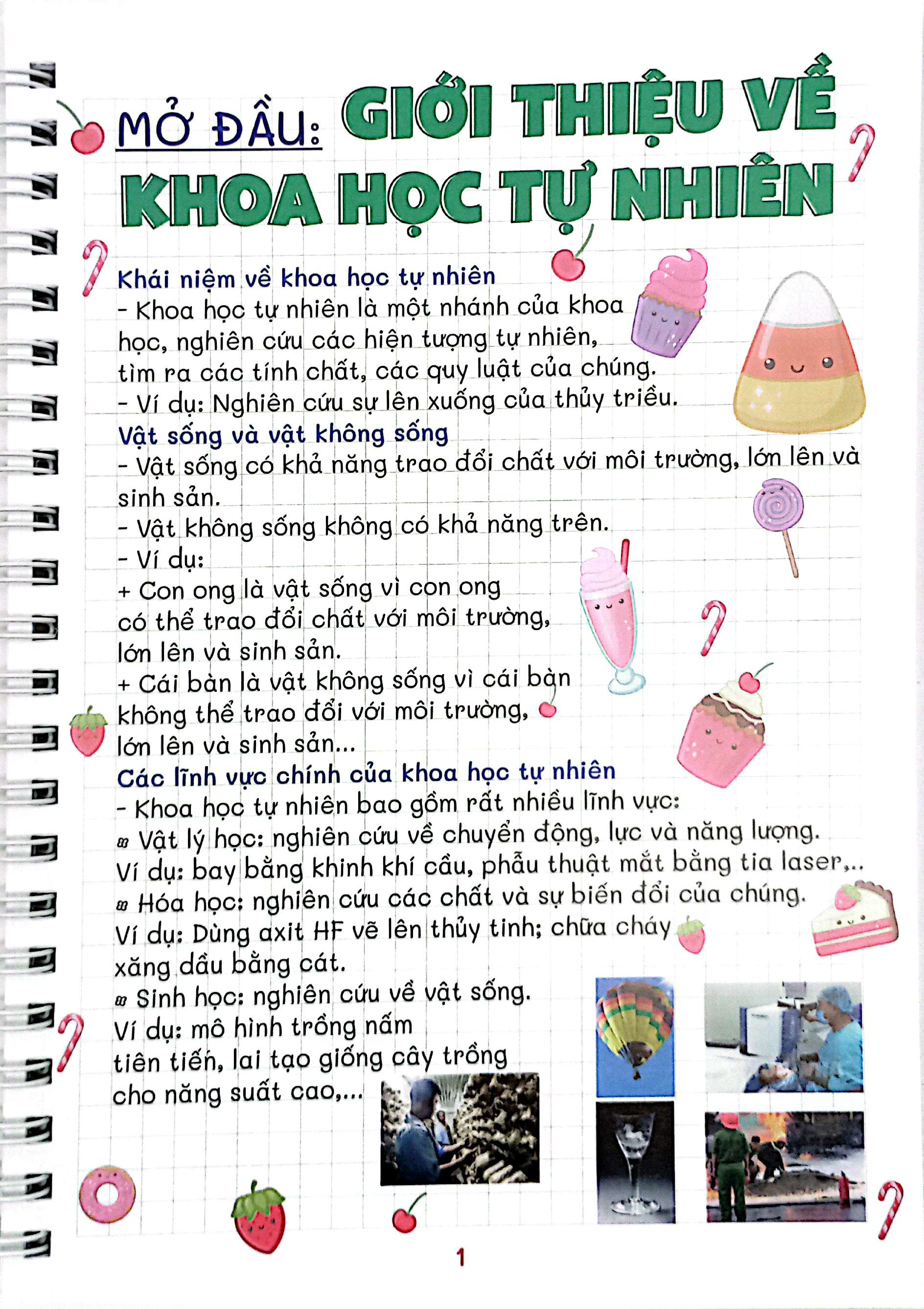 Bộ Take Notes - Khoa Học Tự Nhiên 6 - Ảnh 4