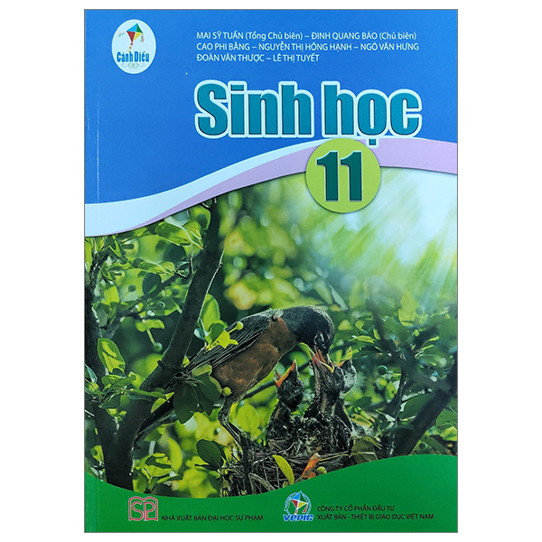 Bo
Toan 11 - Tap 2 (Canh Dieu) (Chuan) - Ảnh 33