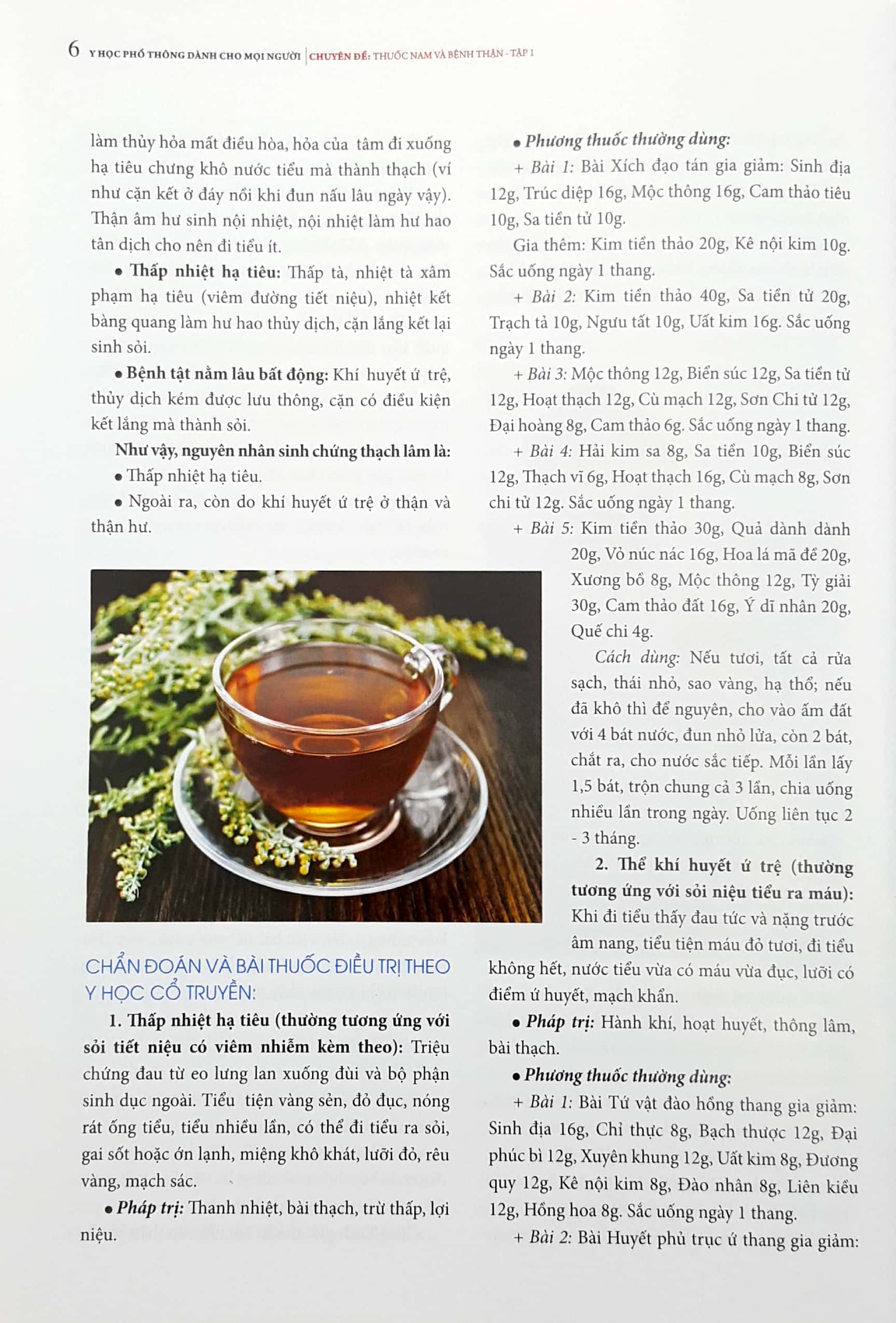 bộ y học phổ thông dành cho mọi người - chuyên đề: thuốc nam và bệnh thận (tập 1) - Ảnh 6