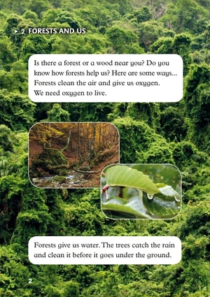 bộ young eli readers -the children and the forests - stage 4 a2 - downloadable audio files - Ảnh 3