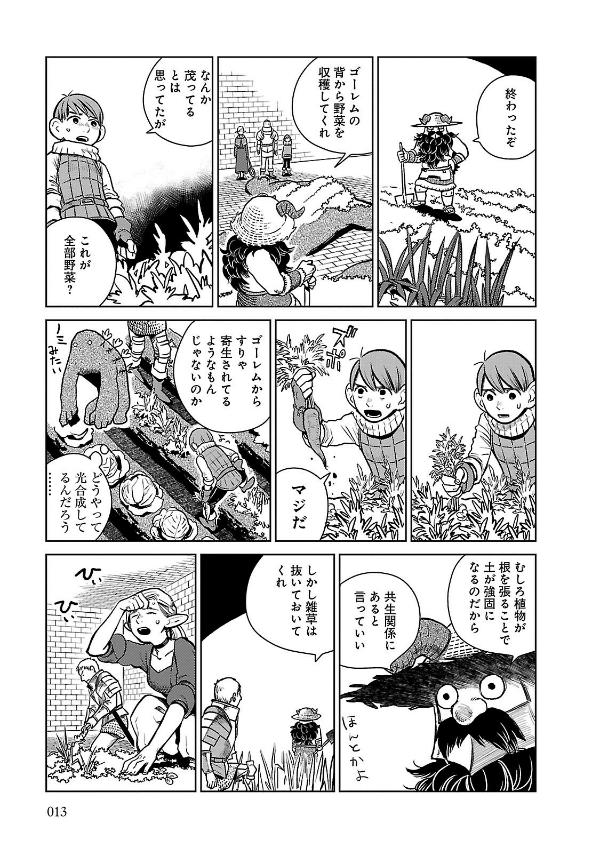 Bo
ダンジョン飯 2 - Dungeon Meshi - Delicious In Dungeon - Ảnh 15