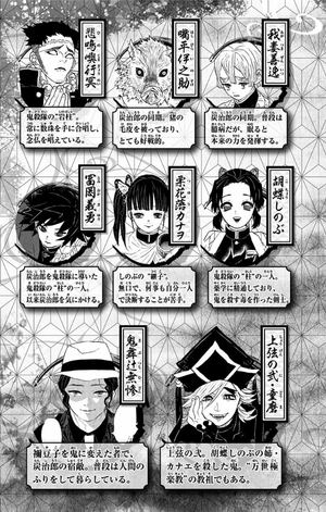 bộ 鬼滅の刃 17 - oni metsu no ha 17 - Ảnh 6