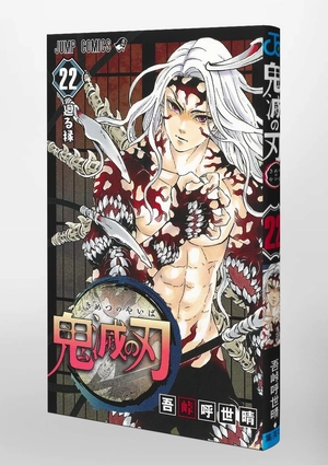 bộ 鬼滅の刃 22 (ジャンプコミックス) kimetsu no yaiba tsuujouban 22 - Ảnh 3