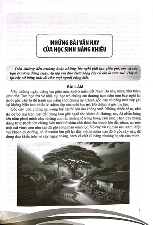 bồi dưỡng năng khiếu văn 5 - Ảnh 3