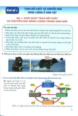 bồi dưỡng năng lực tự học sinh học 11 - Ảnh 5