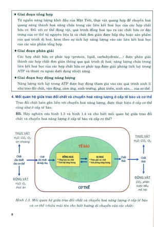 bồi dưỡng năng lực tự học sinh học 11 - Ảnh 8