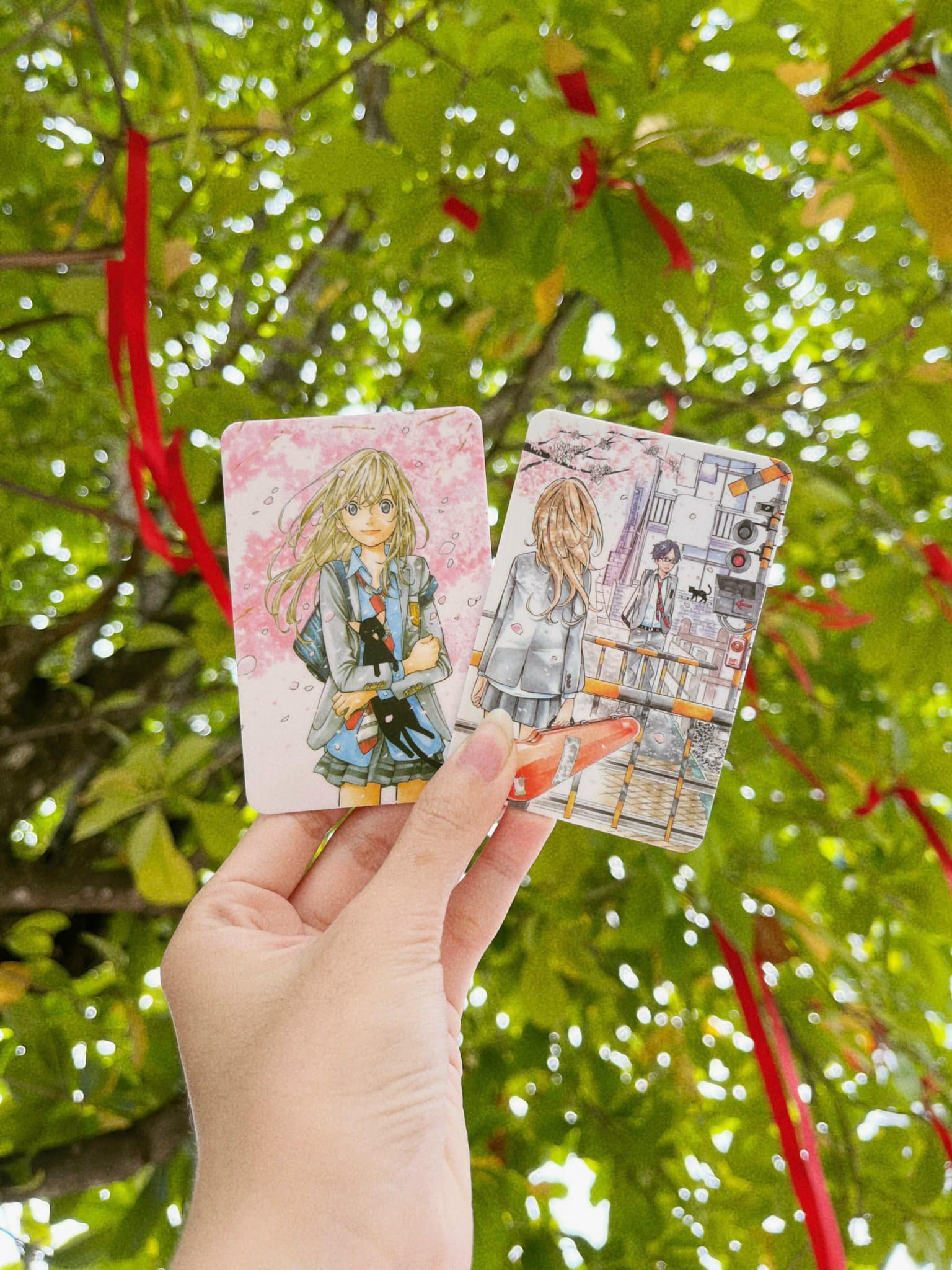 boxset lời nói dối tháng tư - tặng kèm 2 card nhựa hình nhân vật (bộ 12 tập) - Ảnh 5